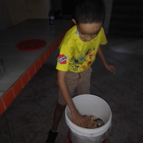 168dd6c3-5269-41da-b444-0caafc81eb79