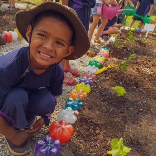 774e7d7a-fea9-431e-800f-75a3f581dba3