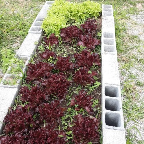 8312d228-3f49-4c40-a7b9-46f7e8f15036