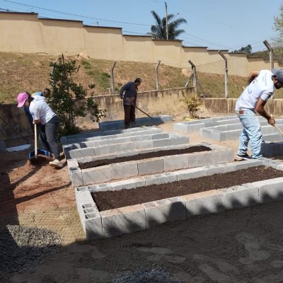 8aa172e2-92d3-499c-aa34-1d7bf6a7ab9b