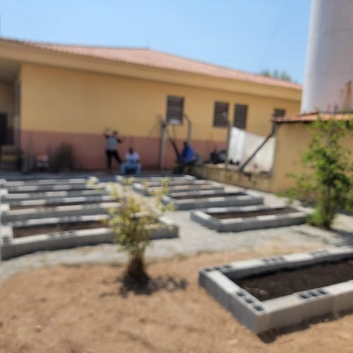 9f1efbb7-d7bb-43e9-913b-fa185ab9fab2