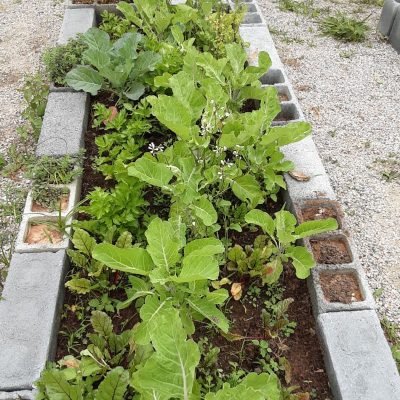 af821993-2a28-4ccc-8e98-c32b017c6a02