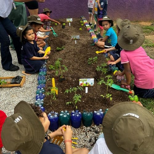 bf7770b5-9e15-4d21-8644-404a2bb6234b