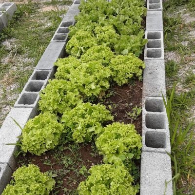 f01cb54b-a1bb-41d4-a5ac-341d2c2d255b