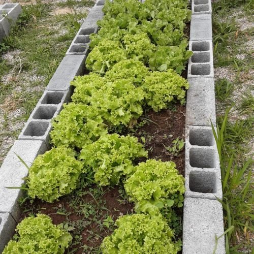 f01cb54b-a1bb-41d4-a5ac-341d2c2d255b